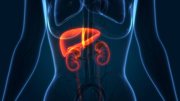 best hepatologist in thane